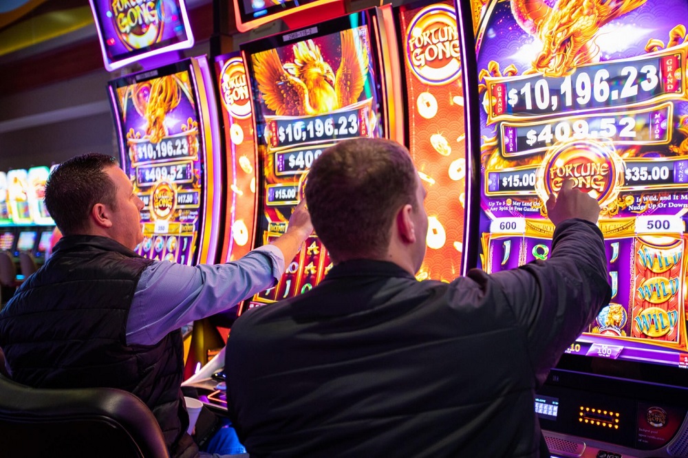 There are a Great Variety of betting options available on the internet